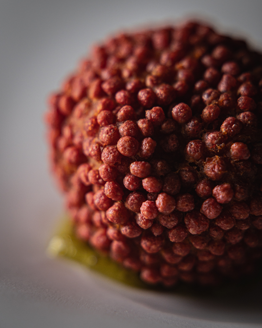 Litchi di mazzancolle dell’antipasto di mare