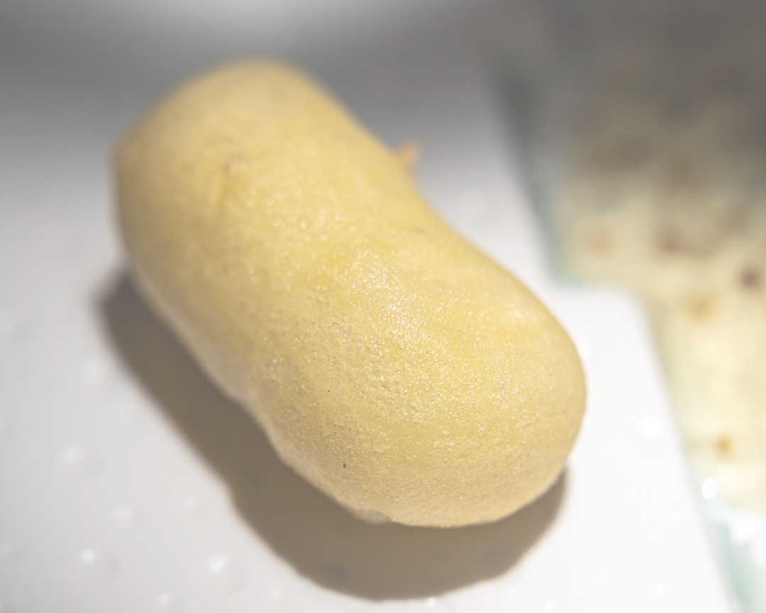 LATTE FRITTO _ chiara